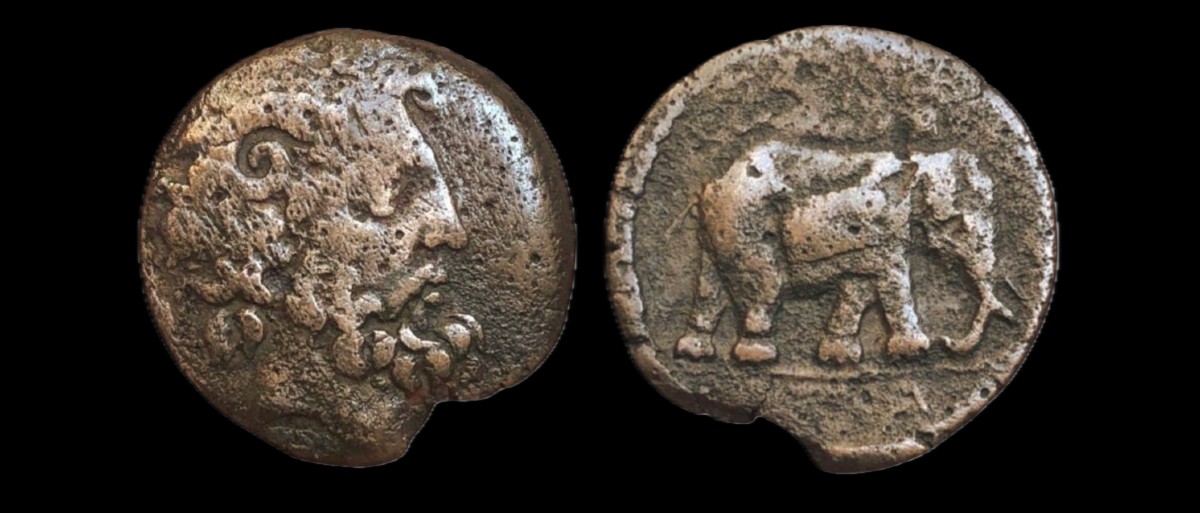 Bronze Rare Of Juba I “zeus Ammon / Elephant” — Certificate Of Authenticity