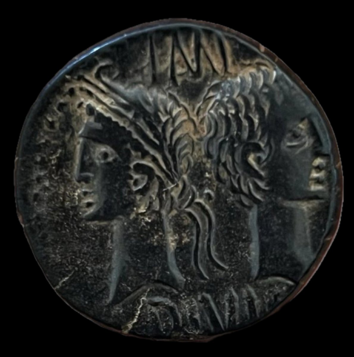 Nemausus “crocodile” As — Certificate Of Authenticity-photo-2