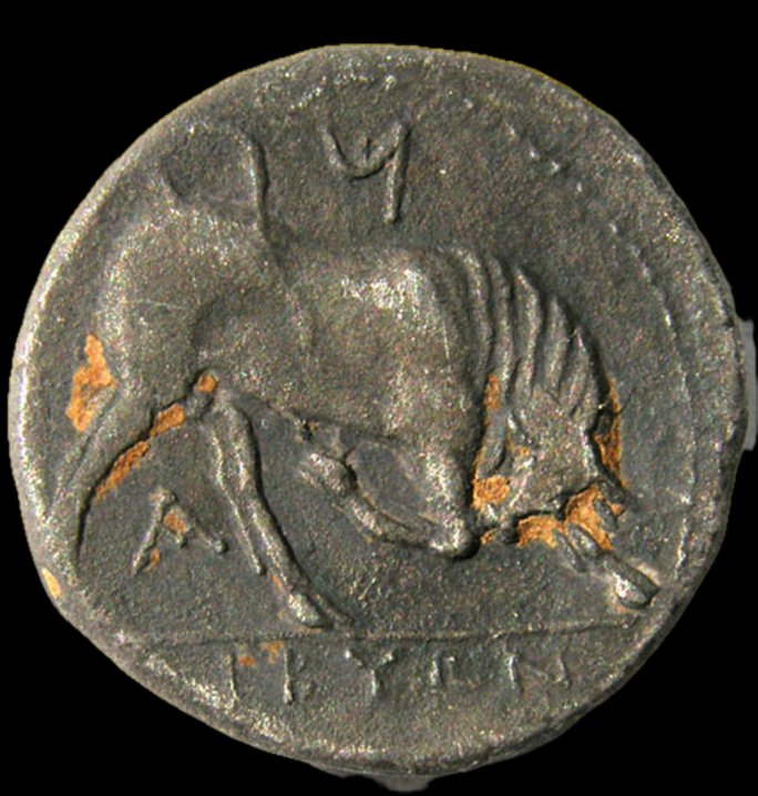 Double Shekel Libuwn (libyan Revolt) — Certificate Of Authenticity-photo-3