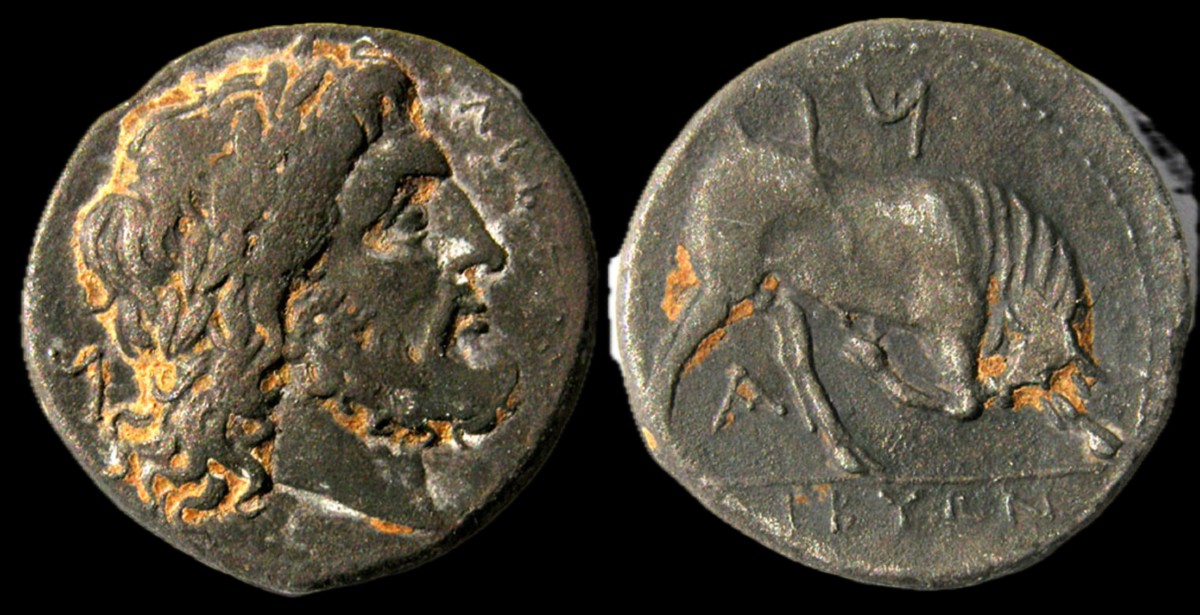 Double Shekel Libuwn (libyan Revolt) — Certificate Of Authenticity