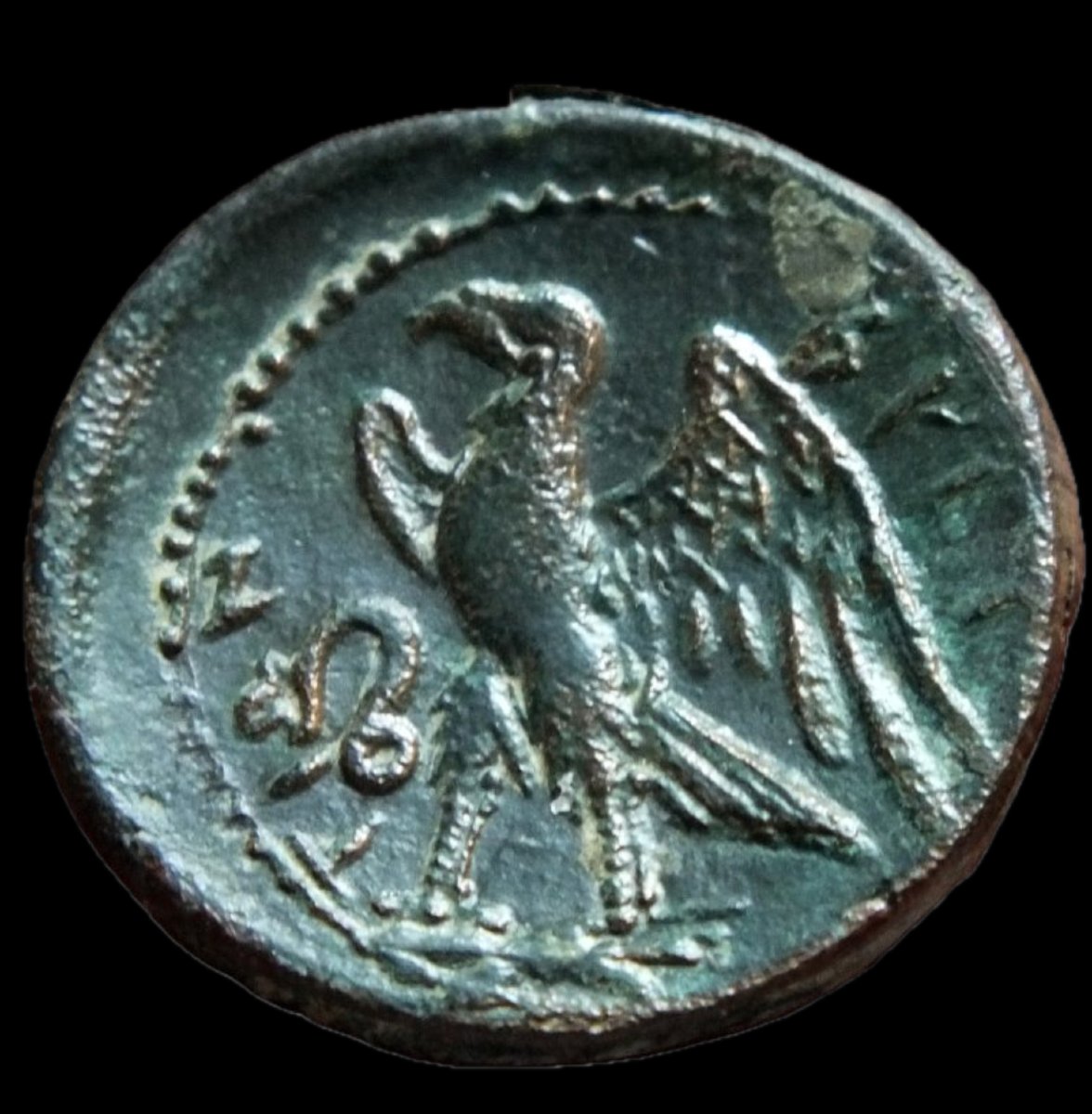 Drachme des Brettii “Zeus & Aigle” — avec certificat d’authenticité-photo-3
