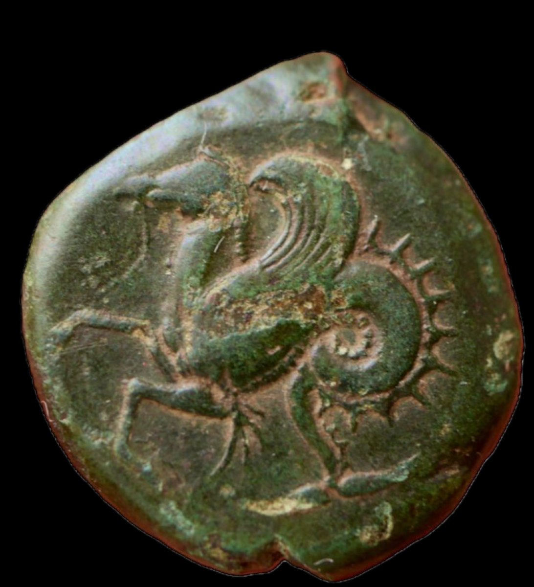 Litra de Syracuse “Athéna & Hippocampe” — avec certificat d’authenticité-photo-3