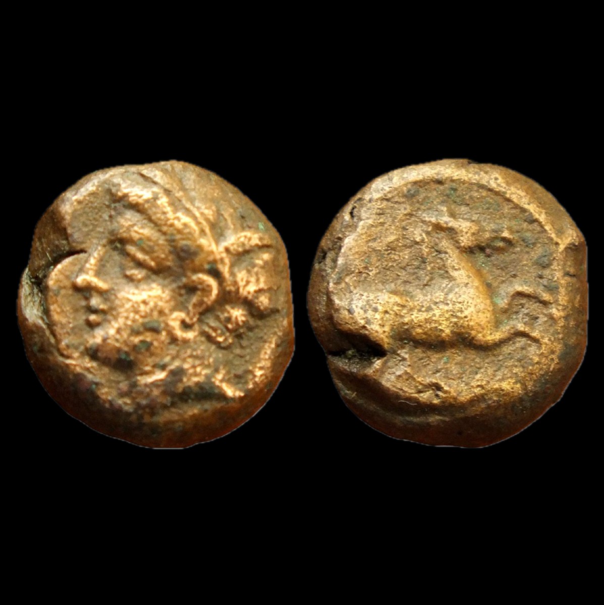 Tanit & Cheval cabré — Certificat d’authenticité