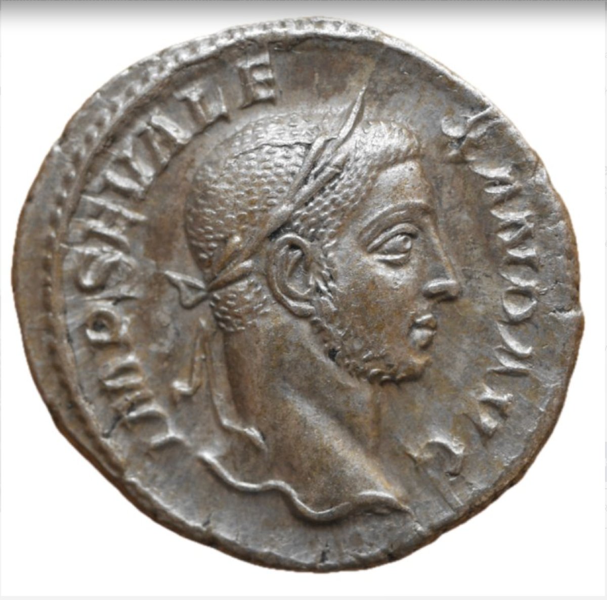 Severus Alexander Denarius “virtvs Avg – Romulus” — Certificate Of Authenticity-photo-2