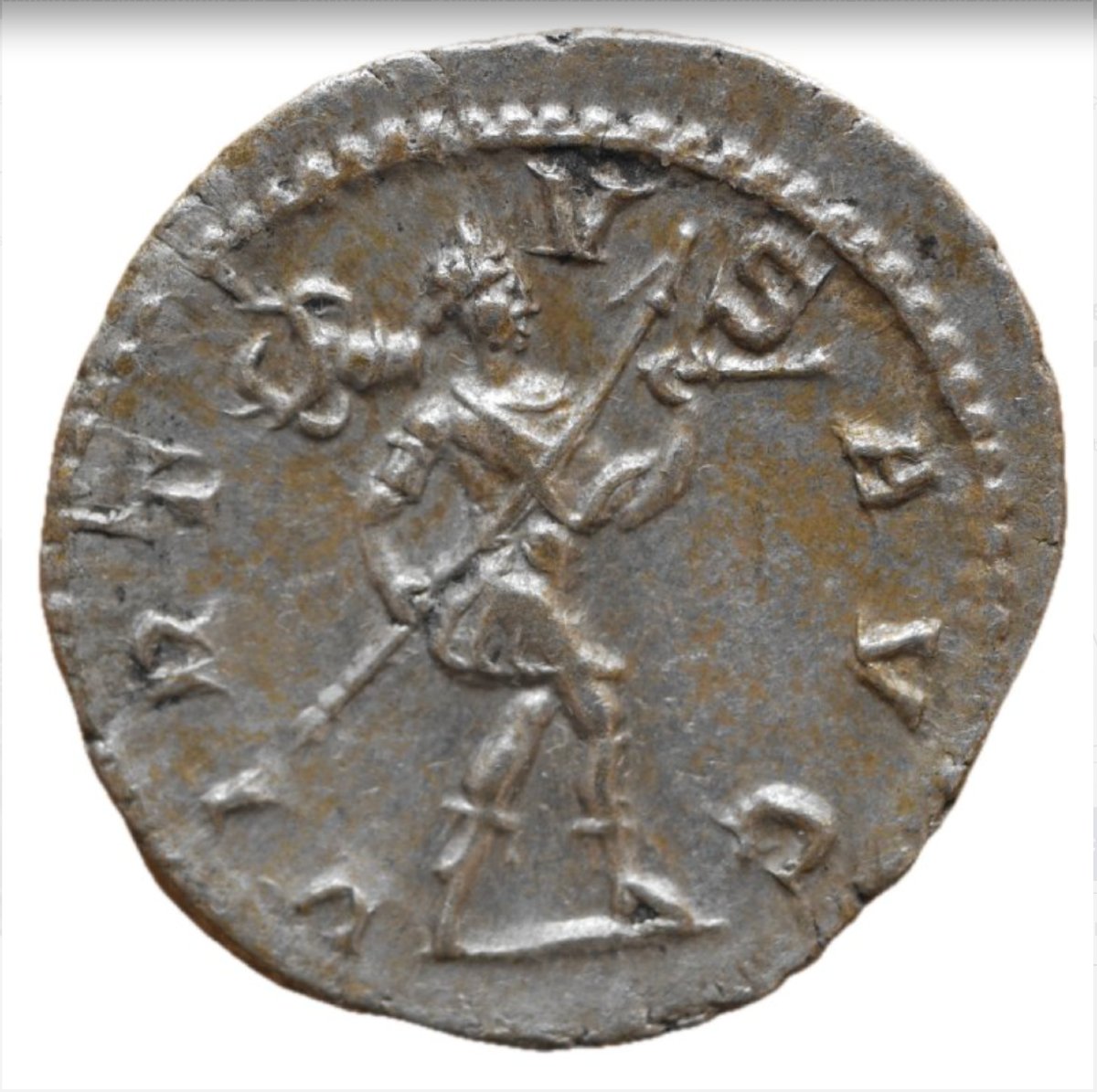 Severus Alexander Denarius “virtvs Avg – Romulus” — Certificate Of Authenticity-photo-3