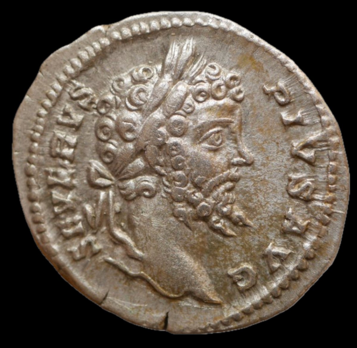 Septimius Severus Denarius “fvndator Pacis” — Certificate Of Authenticity-photo-2