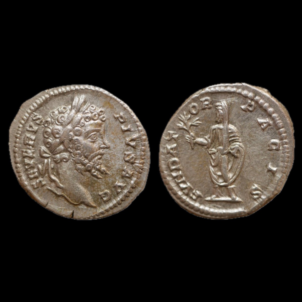 Septimius Severus Denarius “fvndator Pacis” — Certificate Of Authenticity