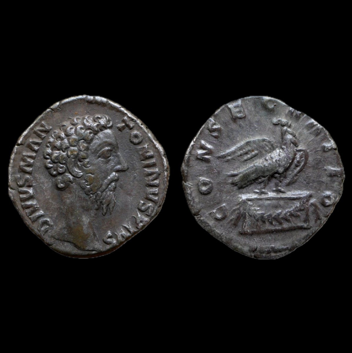 Denier commémoratif « CONSECRATIO » — Certificat d’authenticité