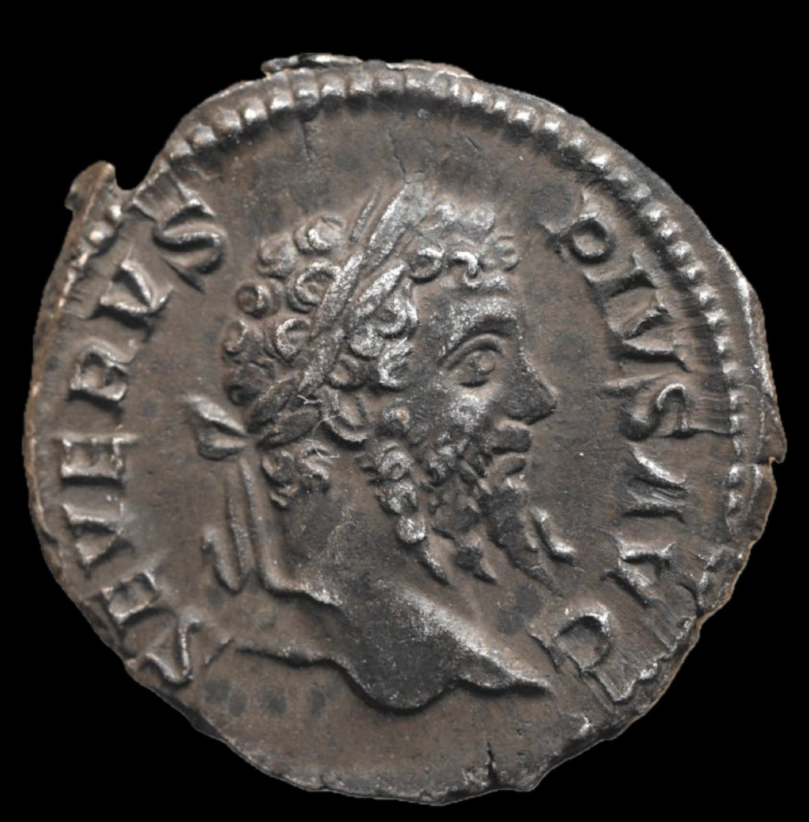 Septimius Severus Denarius “sacrificing Genius” — Certificate Of Authenticity-photo-2