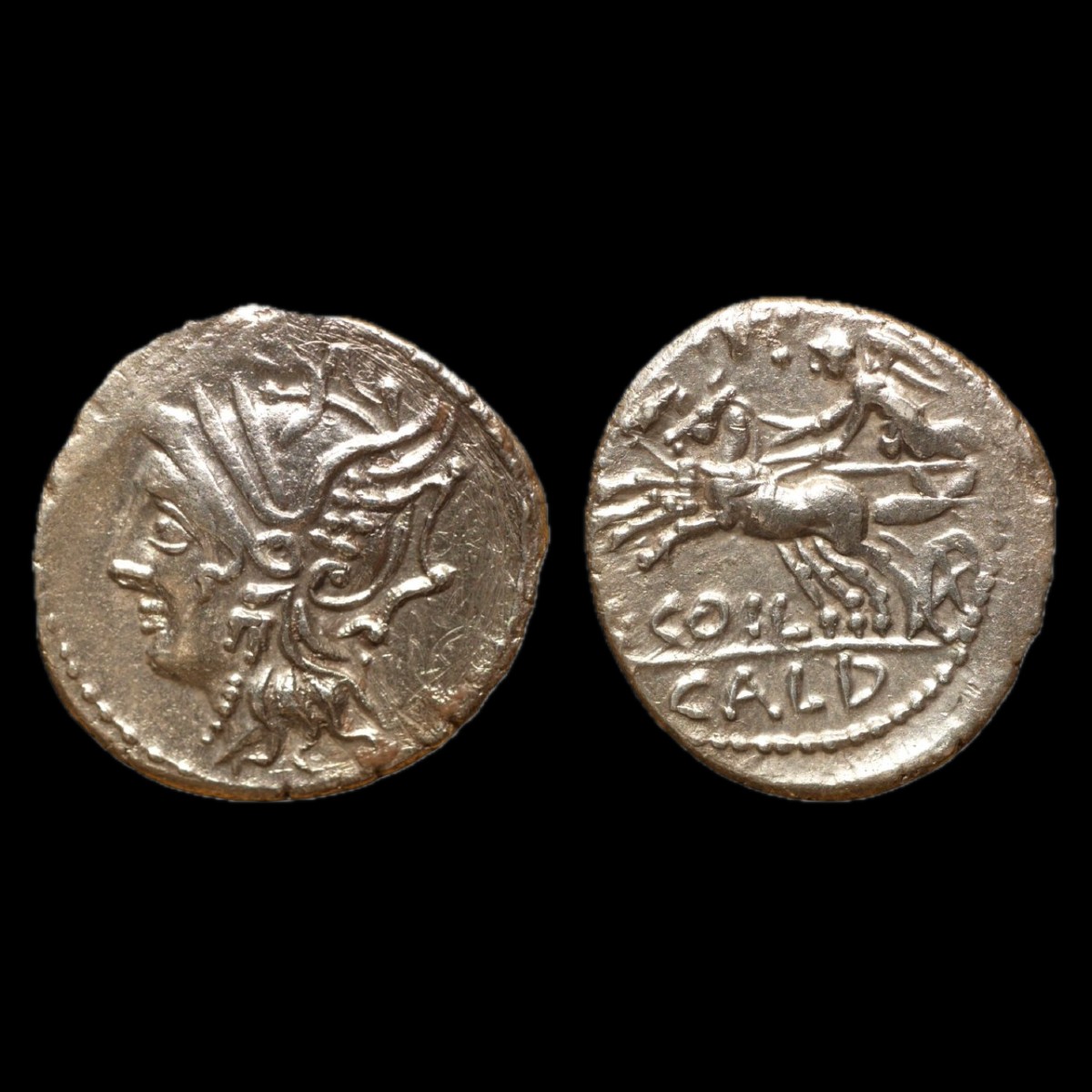 C. Coelius Caldus Republican Denarius — Victory In Biga — Certificate Of Authenticity