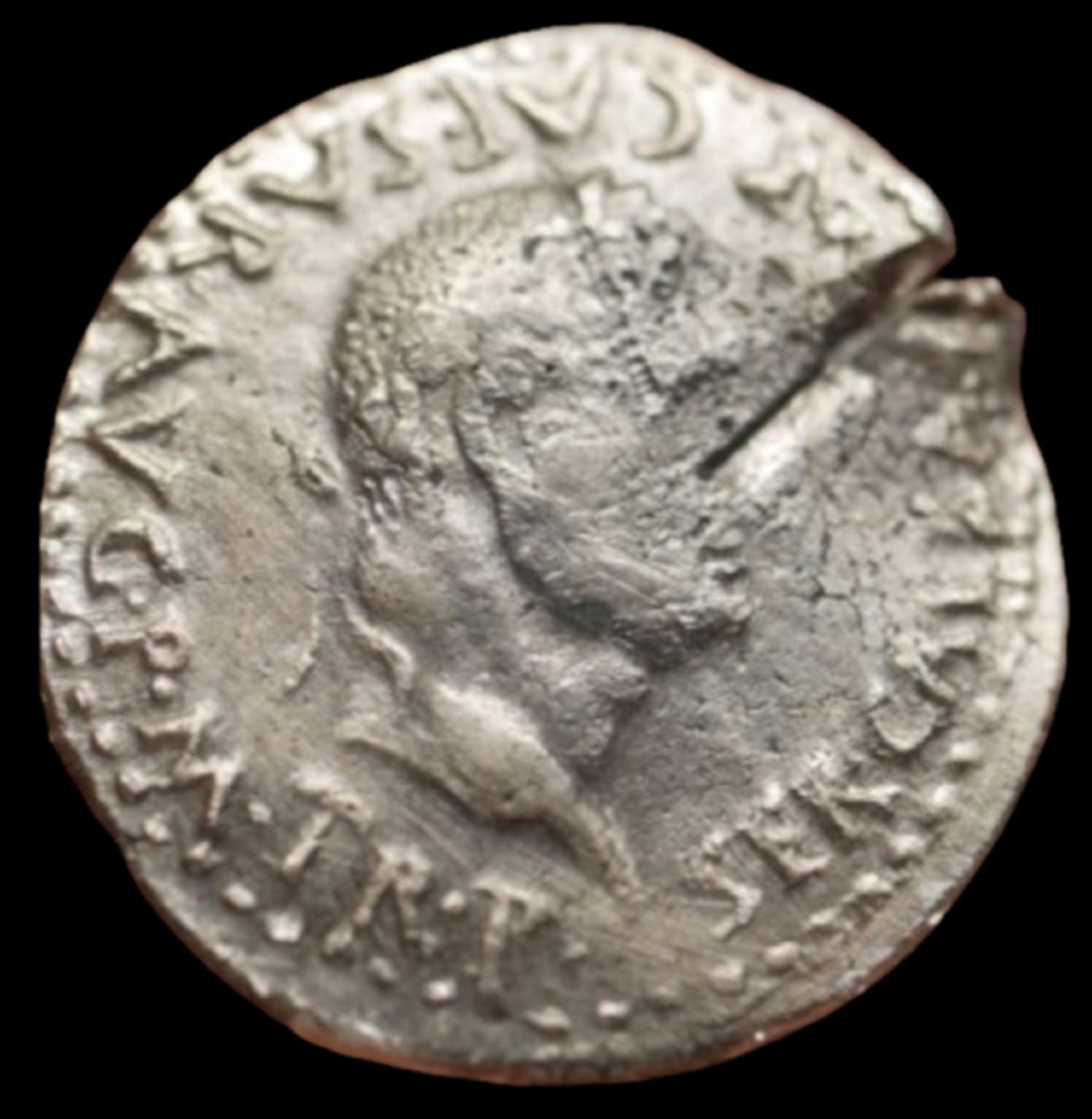 Galba hispanique, clipeus SPQR, var. RIC 234 — Certificat d’authenticité-photo-2