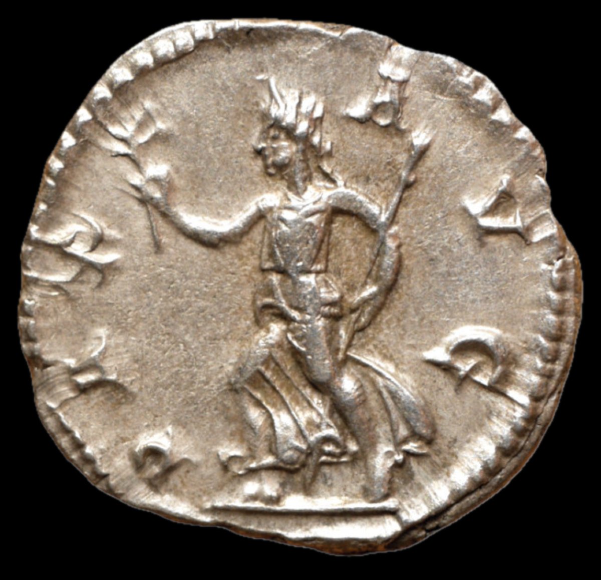 Severus Alexander — Denarius Pax Avg, Ric IV 168 — Certificate Of Authenticity-photo-3