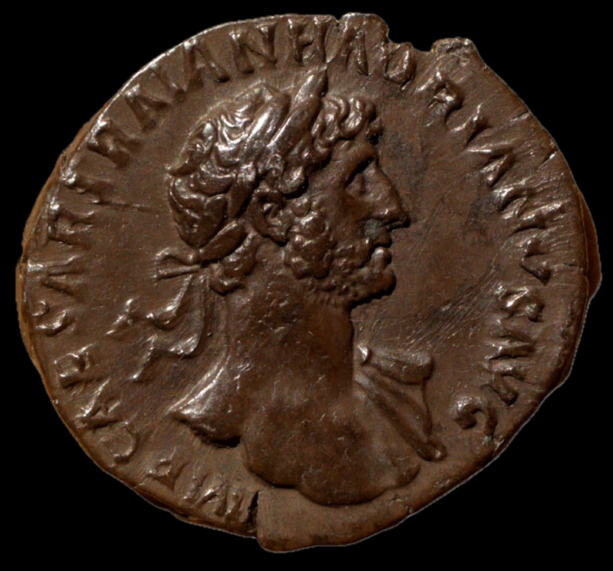 Hadrian Concord, Ric Ii.3 549 — Certificate Of Authenticity-photo-2