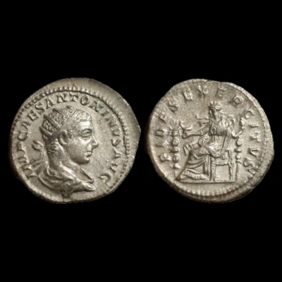 Premiere-Image-1722539