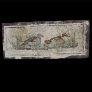 Fragment de fresque romaine aux canards – avec certificat d’authenticité