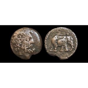 Bronze Rare Of Juba I “zeus Ammon / Elephant” — Certificate Of Authenticity