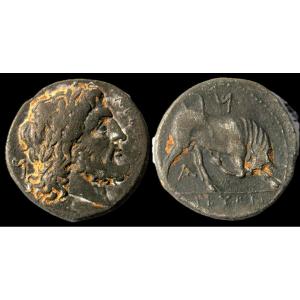 Premiere-Image-1710050