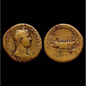 Hadrian Sestertius “felicitati Avg” — Certificate Of Authenticity