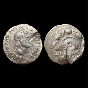 Galba hispanique, clipeus SPQR, var. RIC 234 — Certificat d’authenticité