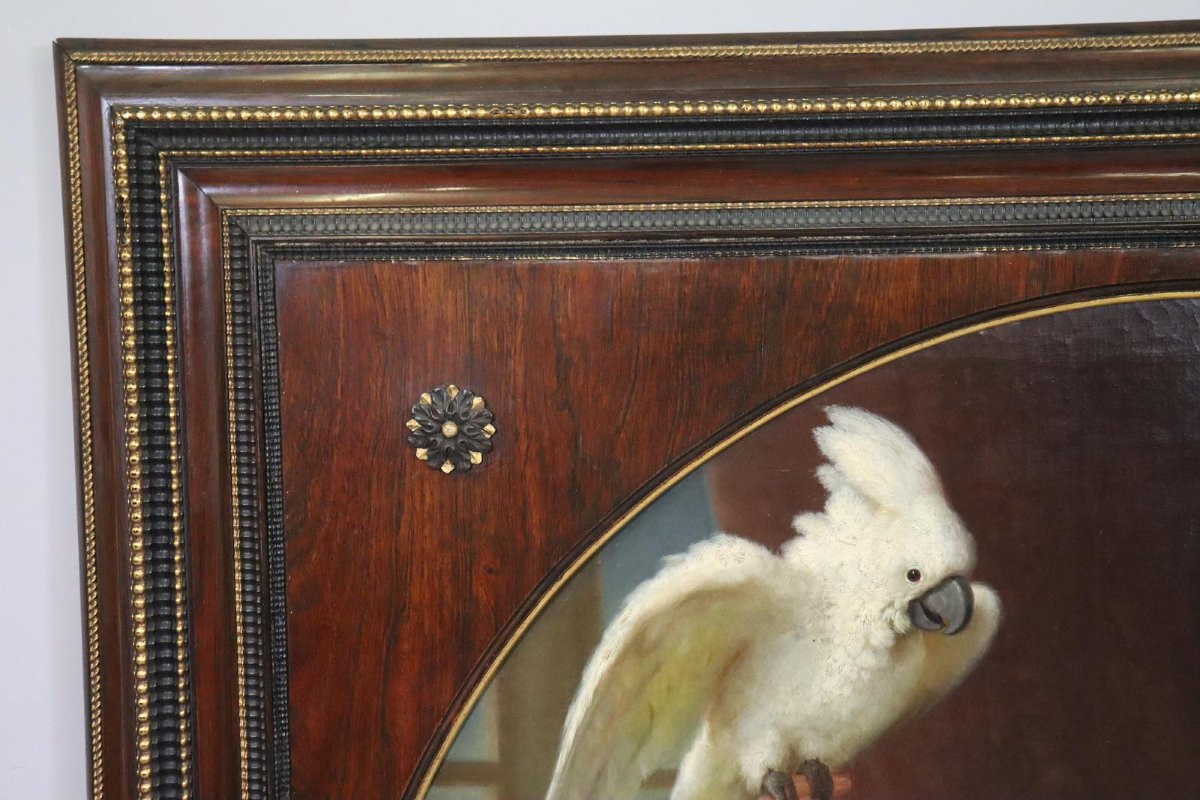 Portrait d'une dame noble avec un cacatoès 131x131cm Peinture à l'huile non signée vers 1810/20-photo-3