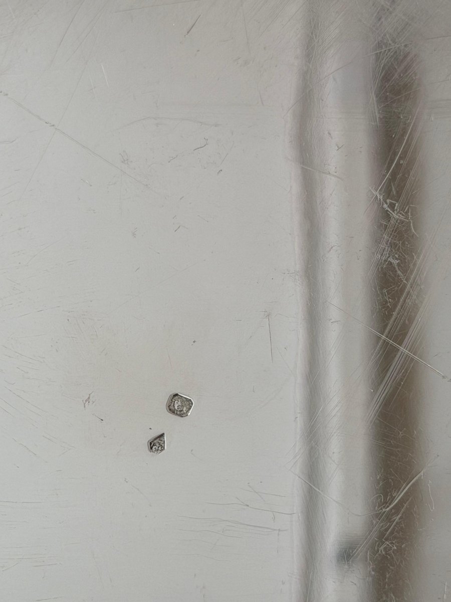 18 Solid Silver Plates – Maison Odiot And Léonard Vincelet -photo-5