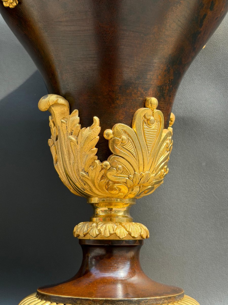 Pair Of Neoclassical Casserole Dishes In Patinated Bronze And Gilded Bronze – 19th Century-photo-3