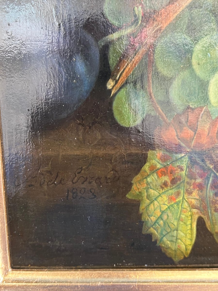 Paire de natures mortes - Adèle Evrard (1792–1889)-photo-8