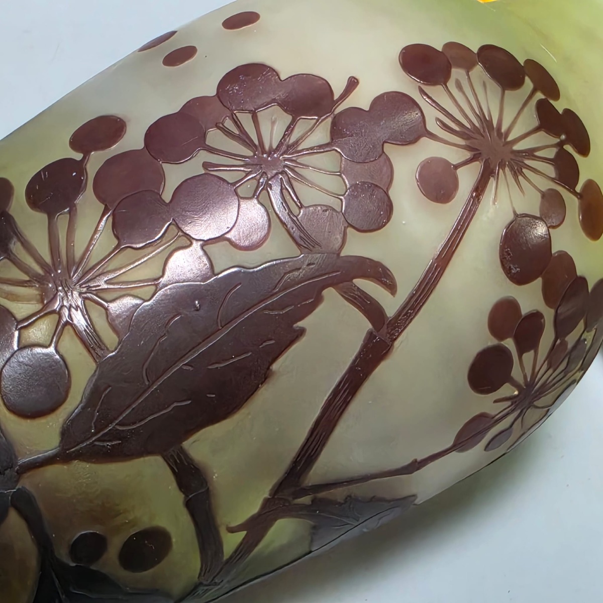 Vase Gallé à décor d’Ombelles-photo-2
