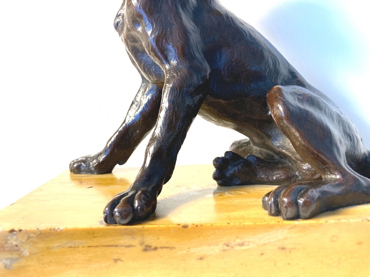 Sculpture en bronze patiné représentant un Chien assis, Ecole Française du 19ème-photo-4