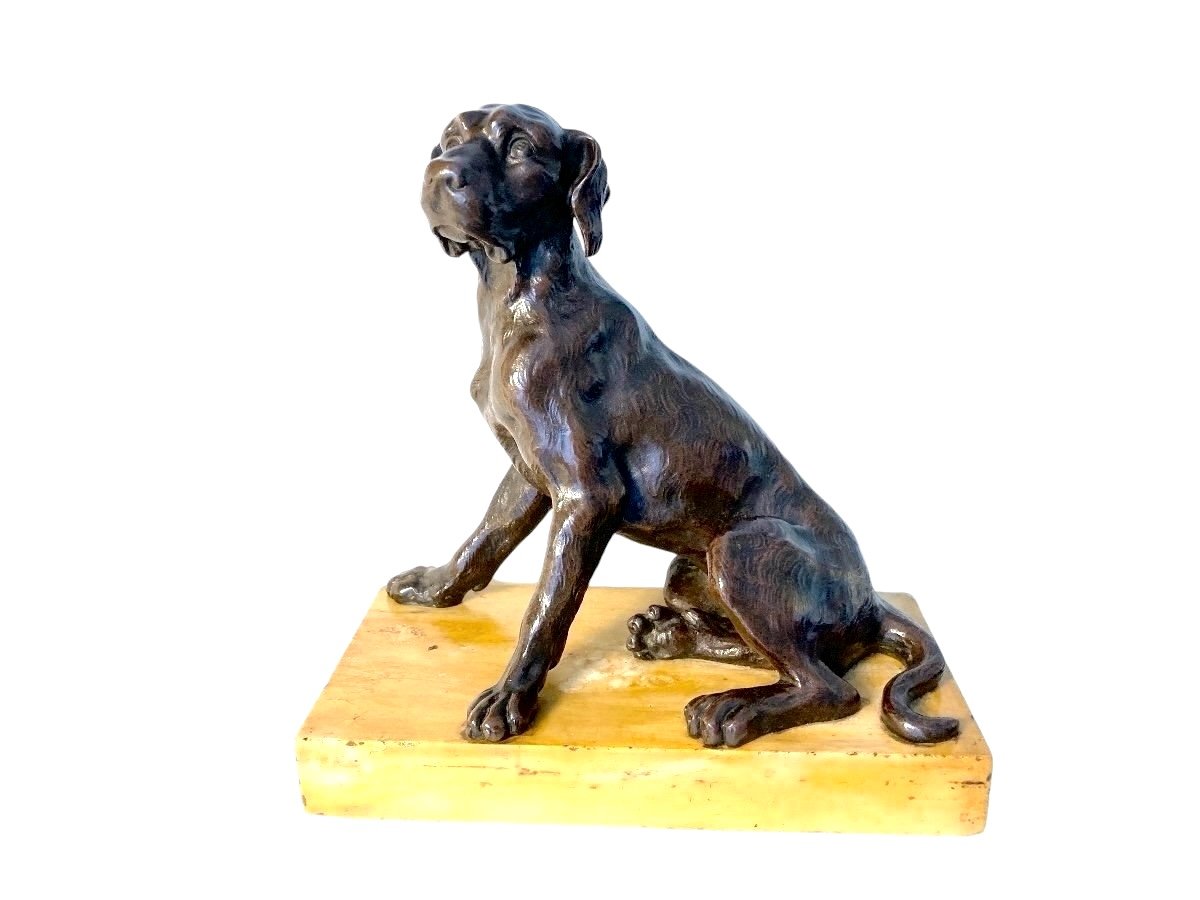 Bronze Sculpture Representing A Seated Dog, French School Of The 19th Century-photo-2