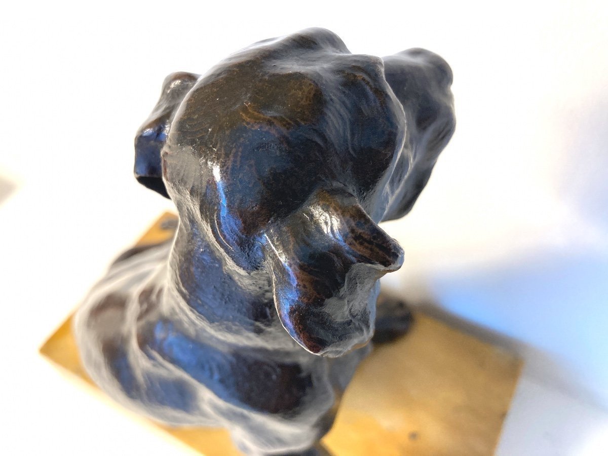 Bronze Sculpture Representing A Seated Dog, French School Of The 19th Century-photo-5