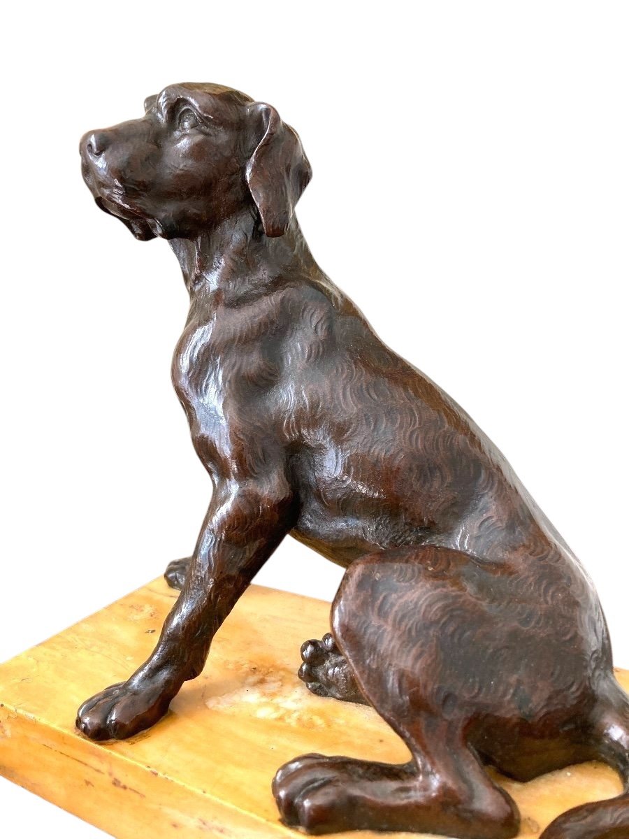 Bronze Sculpture Representing A Seated Dog, French School Of The 19th Century