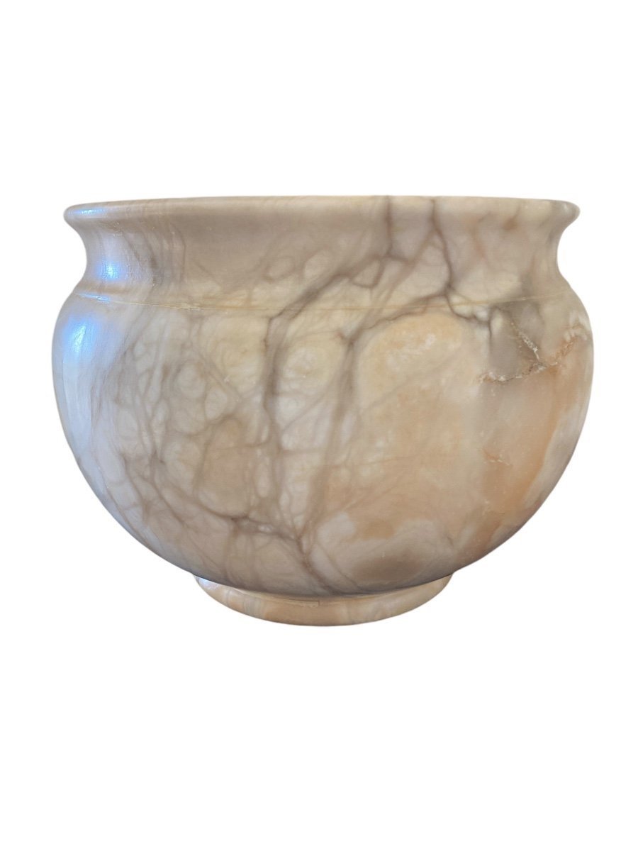 Large Marble Turtle Cachepot, Late 19th Century-photo-2