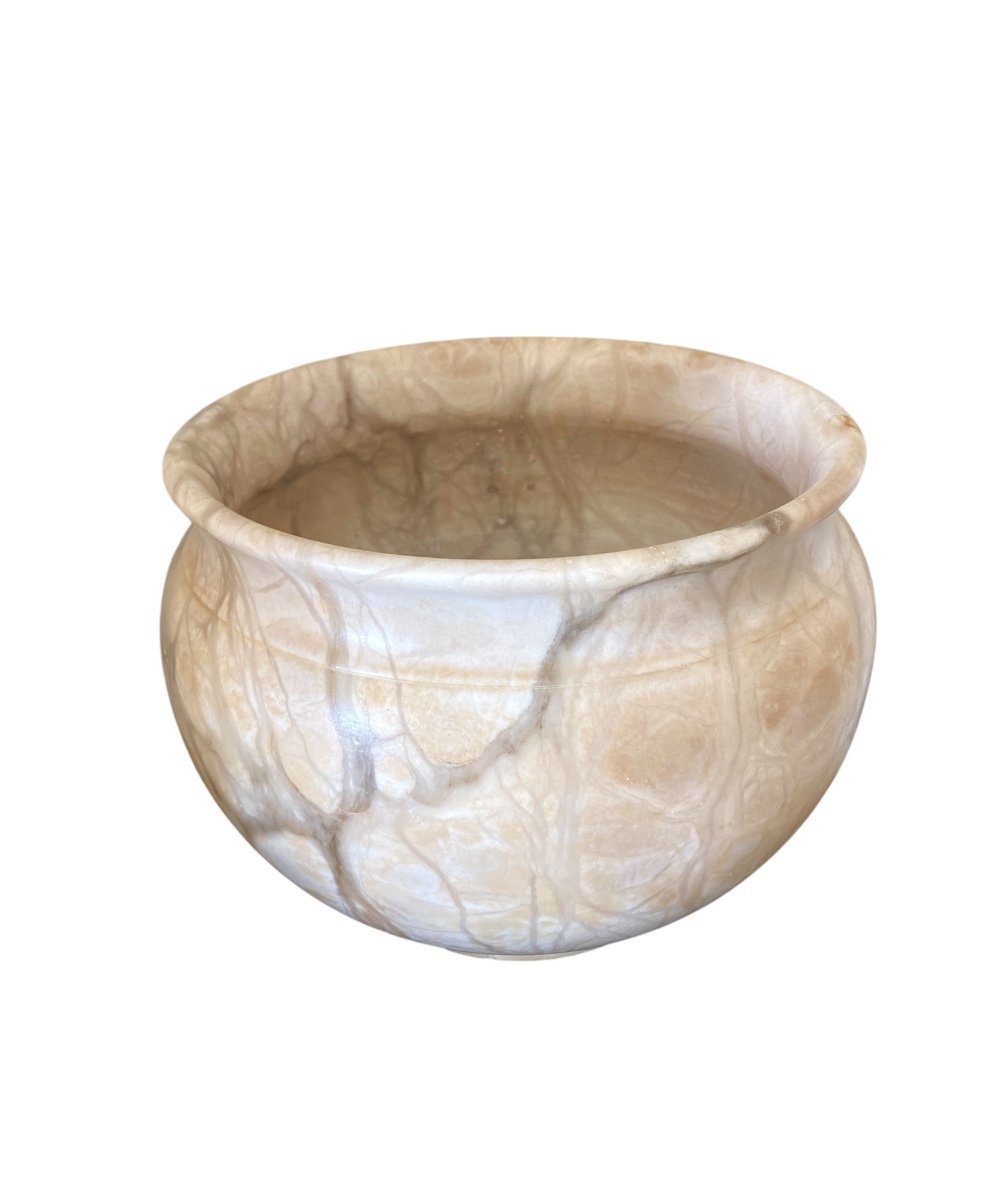 Large Marble Turtle Cachepot, Late 19th Century-photo-3