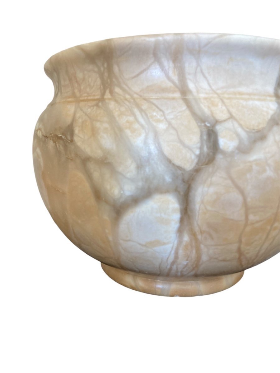 Large Marble Turtle Cachepot, Late 19th Century-photo-4