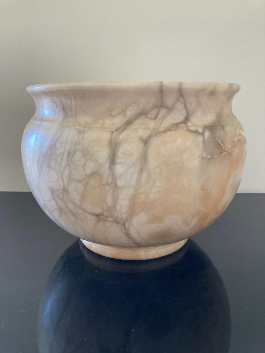 Large Marble Turtle Cachepot, Late 19th Century-photo-2