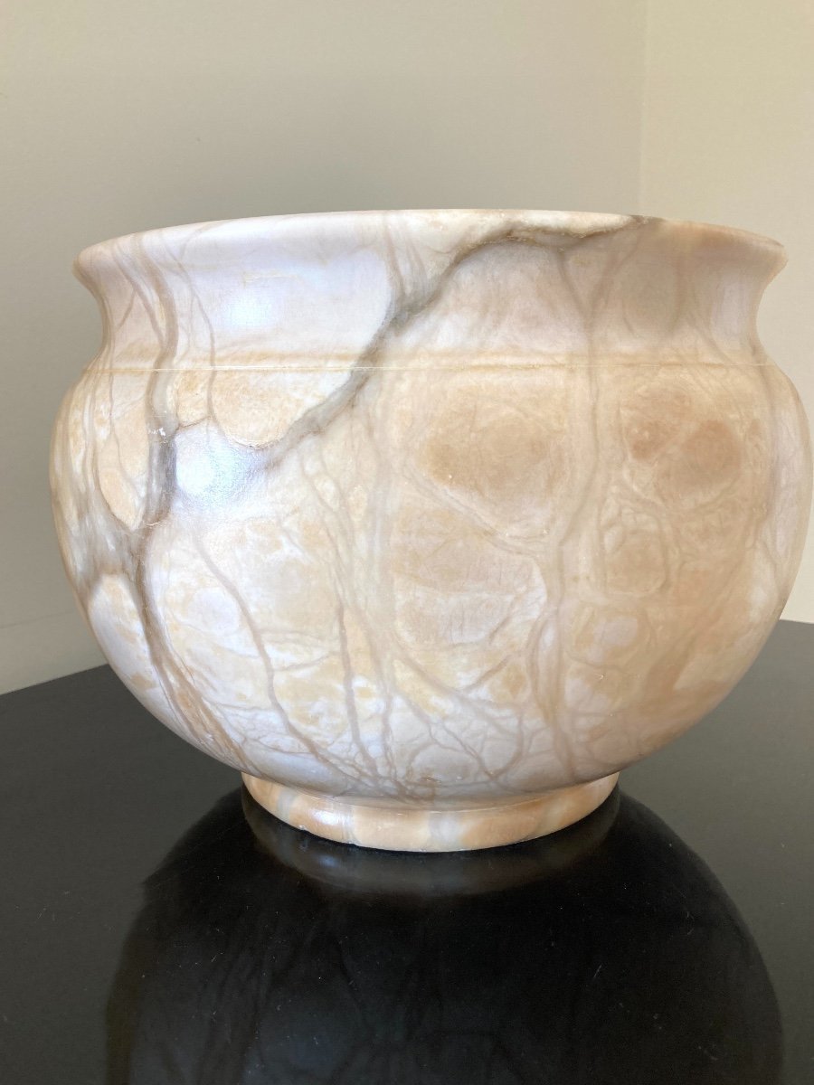 Large Marble Turtle Cachepot, Late 19th Century-photo-3