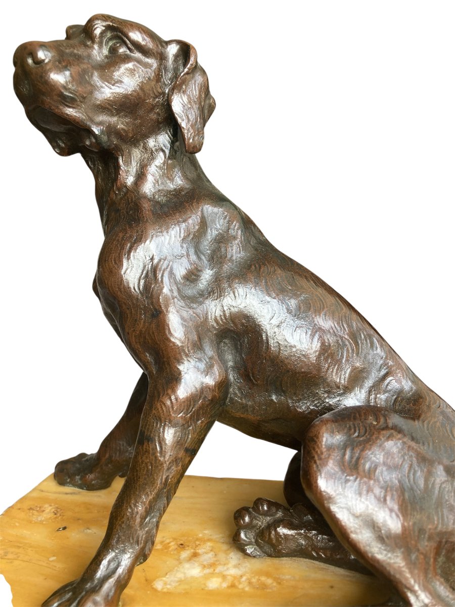 Sculpture en Bronze représentant un chien assis, Ecole Française du 19ÈME-photo-2