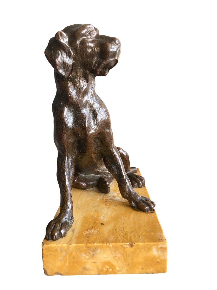 Sculpture en Bronze représentant un chien assis, Ecole Française du 19ÈME-photo-3