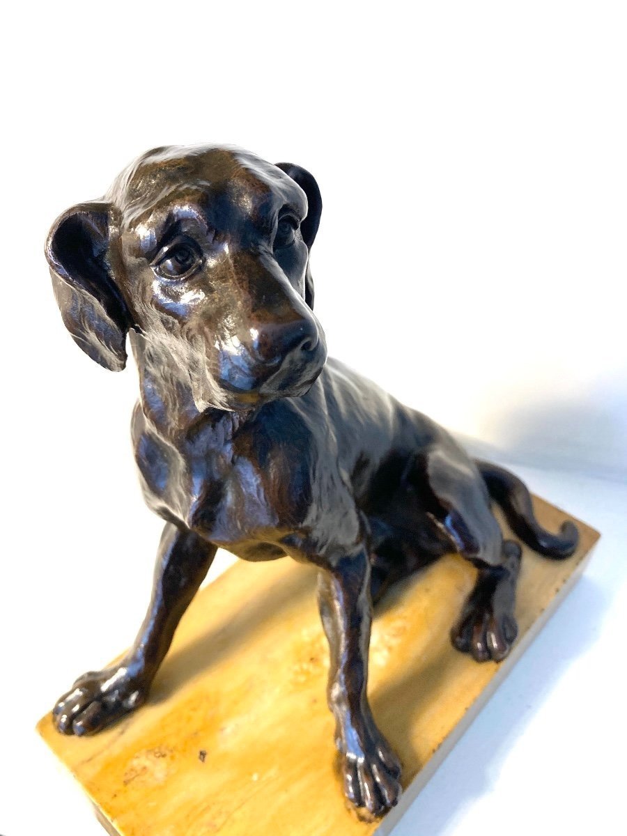 Sculpture en Bronze représentant un chien assis, Ecole Française du 19ÈME-photo-6