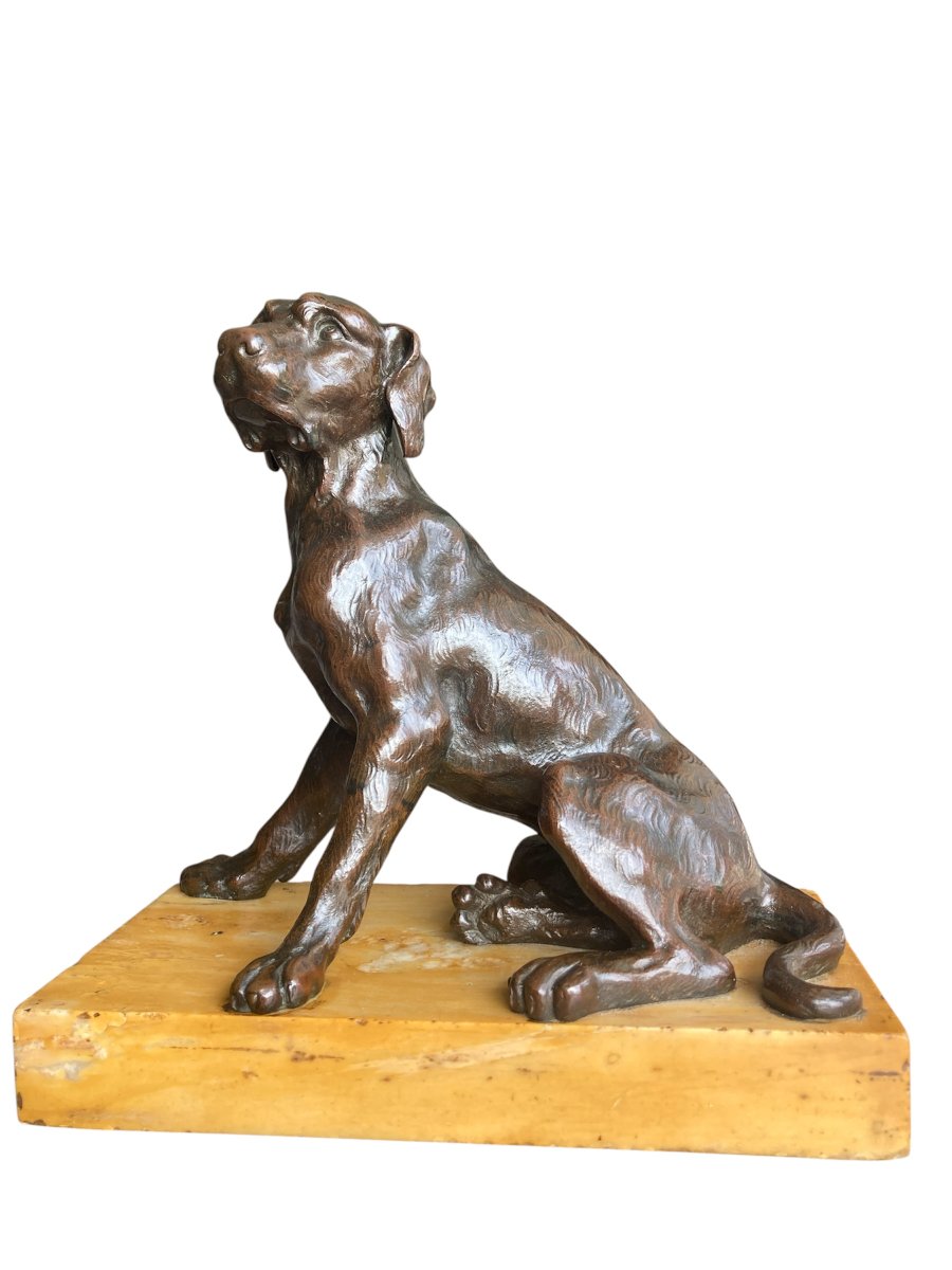 Sculpture en Bronze représentant un chien assis, Ecole Française du 19ÈME