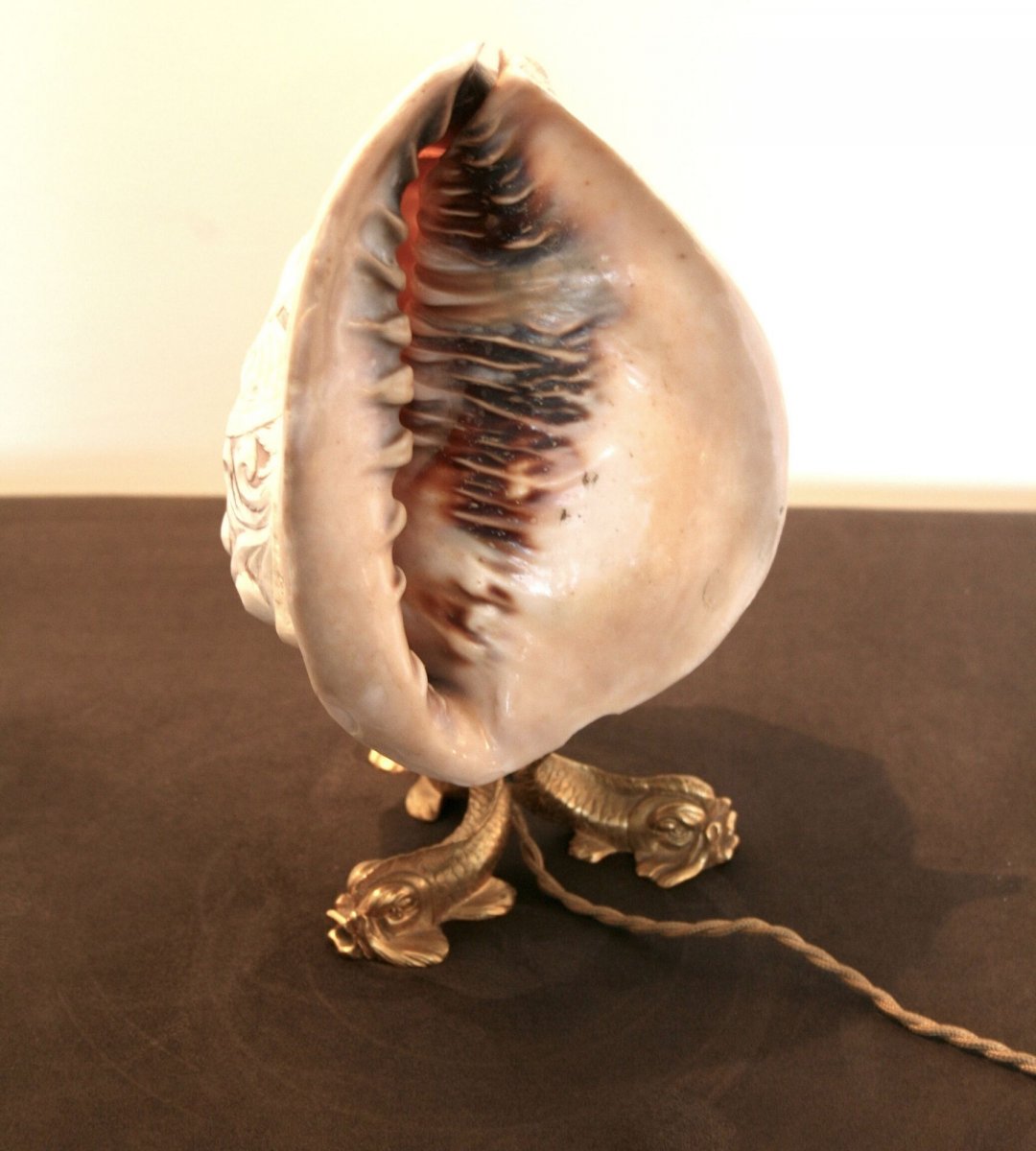 Seashell Lamp, Cameo Style On Bronze Feet 19th Century-photo-1
