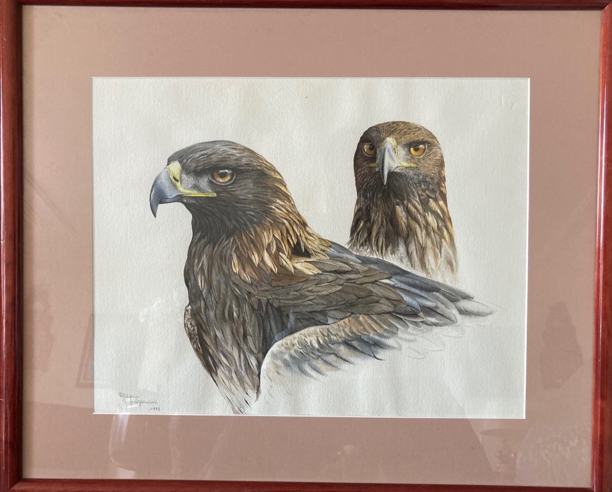 Watercolor With Two Heads Of Eagles Royals Signed Philippe Varnardois