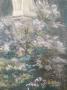 1769376-alb-6a1afcbd9e608.jpg