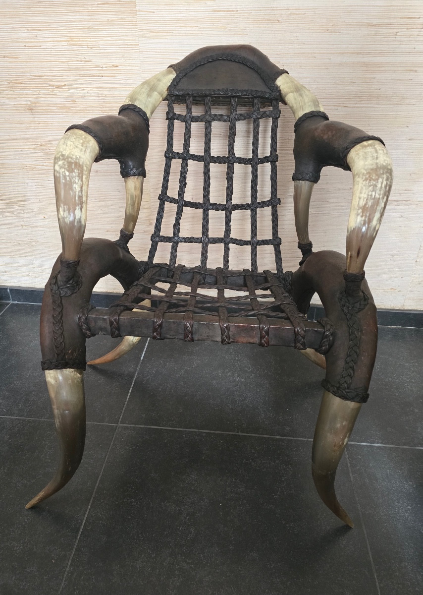 Fauteuil cuir et cornes