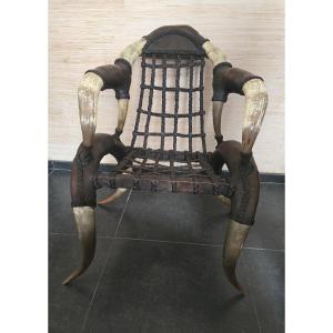 Fauteuil cuir et cornes