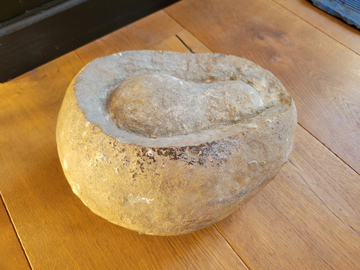 Fossil Presented As Dinosaur Egg -photo-2