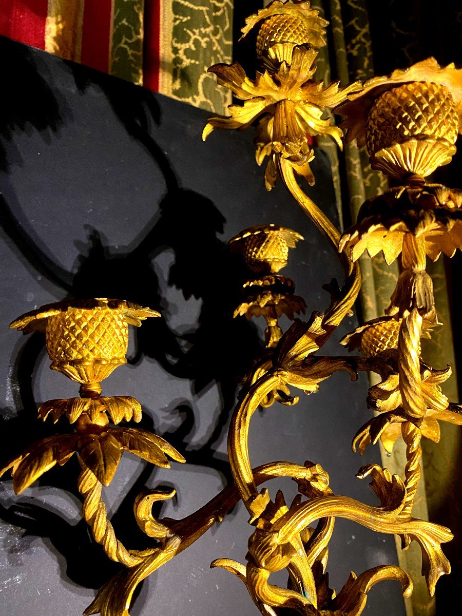 Paire d'Exceptionnnels Flambeaux Cinq Branches Au Chardons  Tournoyants En Bronze Doré, XIXème -photo-7