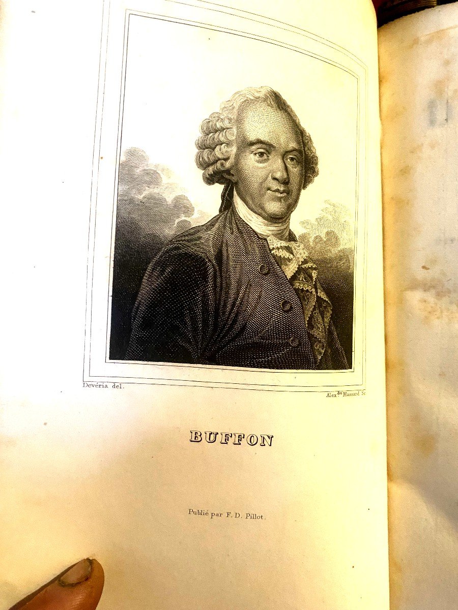Complete Works Of Buffon Augmented By Cuvier 29volumes In 8 Color Engravings, 1831, Paris-photo-3