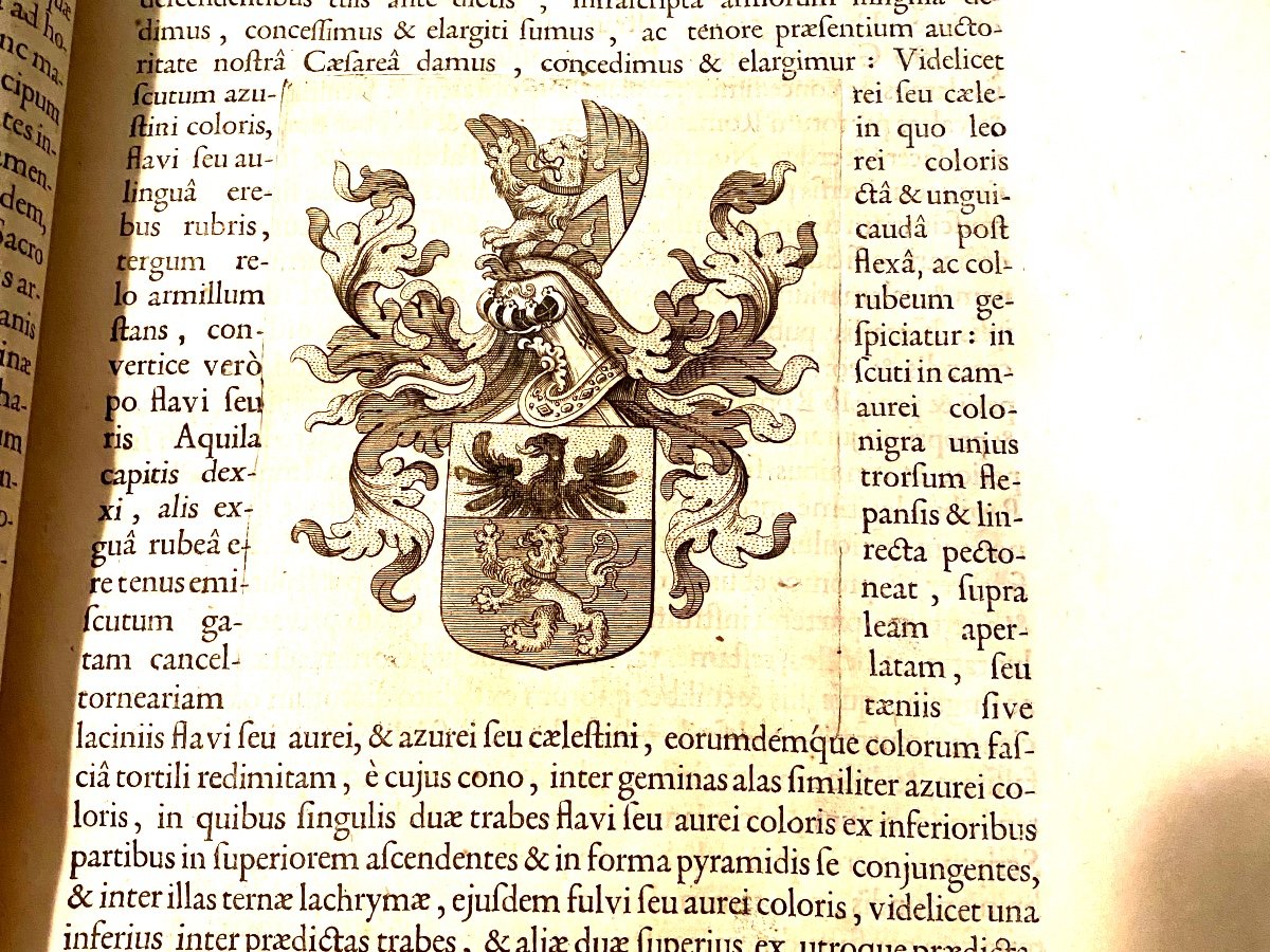 Bel In-folio De 1689 Bruxelles "jurisprudentia Héroica "sive De Jure Belgarum Circa Nobilitatem-photo-4